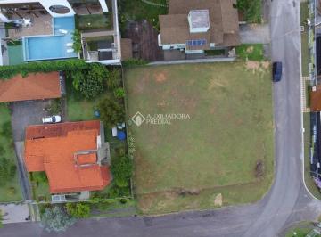 698590_i1h4U9k8148bCr7_69859067e433644a8bb.jpg · Terreno plano de 906m² no João Paulo