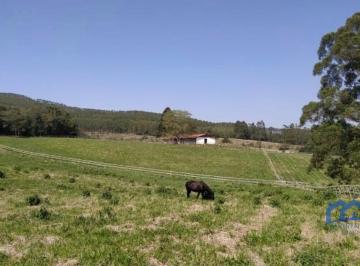 Foto 11 · Sitio/Fazenda à Venda, 23 alqueires por R$ 5.000.000 Cód. ch2184