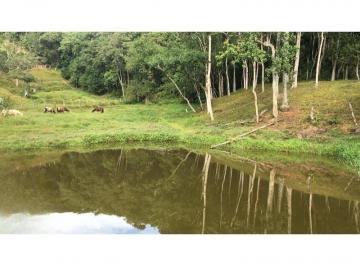 Rural · 35255m² · 3 Quartos · 4 Vagas · Sítio SANTO AMARO DA IMPERATRIZ - SC