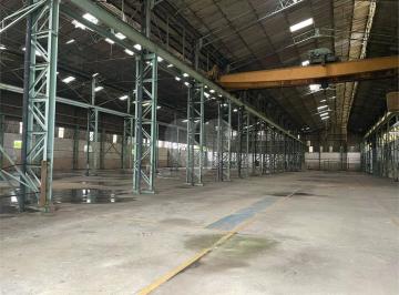 Terreno , São Paulo · Terreno / Galpão - Cangaíba - 17000 m² - Venda / Compra / Aluguel / Locação