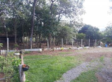202411151135485591.jpg · Chácara para Venda em Brasília, Sobradinho, 3 dormitórios, 1 suíte, 4 banheiros, 4 vagas