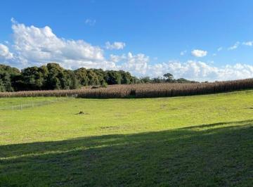 Foto 01 · Terreno, Lageado, Campo Alegre, SC