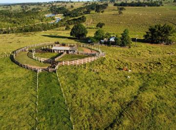 Rural · 5553800m² · FAZENDA 700 HECTARES  PECUARIA EM CAMAPUA MS  ...