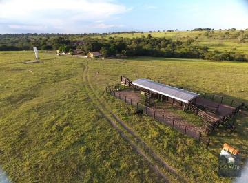 Rural · 2040000m² · FAZENDA 255 HECTARES  PECUARIA EM RIO VERDE DE...