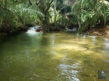 Rural · 136000m² · Chacara de 17 Hectares a Venda – Proxima a B...
