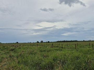 Rural · 1478000m² · FAZENDA 185 HECTARES  PECUARIA EM CAMPO GRANDE...