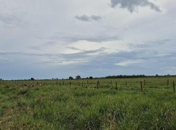 Rural · 1478000m² · FAZENDA 185 HECTARES  PECUARIA EM NOVA ALVORAD...