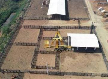 a14dbd4494a5c97d379be666dd53e1b59c981a81 · Fazenda à venda - Zona Rural - São José dos Campos/SP