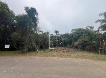 384e229f68df36ebb5e04587e60f5a4a8468f274 · Terreno à venda, 1524 m² por R$ 410.000,00 - Patrimônio do Carmo - São Roque/SP