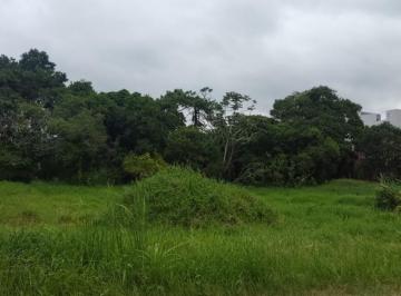 702071_i2r6TlTYZmd3Y7G_70207167f054d7e09c1.jpg · Terreno à venda com mais de 7.500m² no Passa Vinte - Palhoça/SC | Alto potencial construtivo