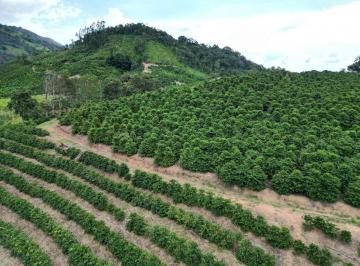 Photo_0 ·
Fazenda de 66,2 hectares - Propriedade é Mista (Café e Pecuária).