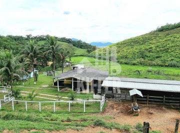 Sítio com animais incluso · Sítio à venda com 15 hectares – Estrutura completa para produção agrícola, criação de animais e laze