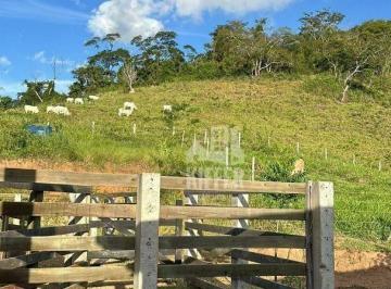 Fazenda, gado, São Fidélis · Fazenda Produtiva à Venda em São Fidélis | 54,3 Hectares
