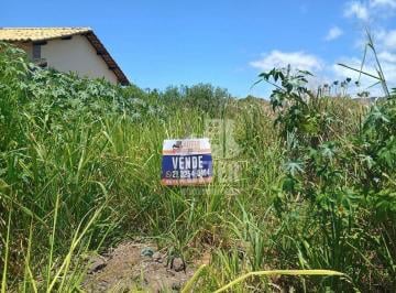36dd0184f219c708386a59f83d47c916ed8fd052 · Terreno à venda, 1139 m² por R$ 265.000,01 - Itaipuaçu
- Maricá/RJ