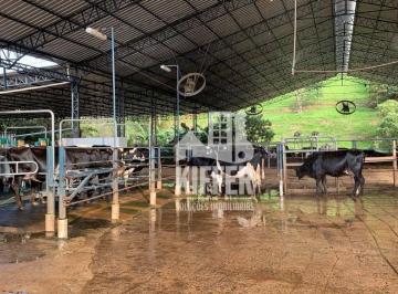 3c365c9d419fce714d53629a6adbb20814dd9366 · Fazenda com 6 dormitórios à venda, 851471 m² por R$ 8.000.000,00 - Área Rural de Itajubá - Itajubá/M