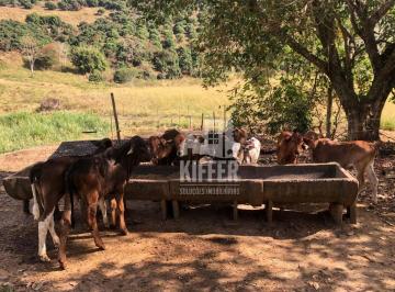 a093d641e5bf32d4e9b67d91864a8ce93564c304 · Fazenda com 2 quartos à venda, 480000 m² por R$ 2.500.000 - Santo Antonio - Carmo/RJ