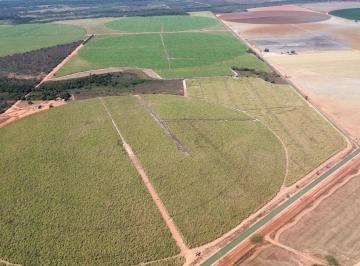 Rural de 3 quartos, Paracatu · OPORTUNIDADE VENDA FAZENDA REGIAO DE PARACATU PEGA IMOVEIS NA TROCA ( 6238 )