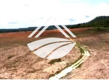 202504111628184155.png · Fazenda para Venda em Goiatins, ampla expansão agropecuária