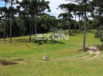 Rural · 333960m² · 2 Quartos · Chácara em Mandirituba com 333.960 m² com Reflorestamento de Pinus