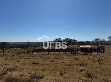 Rural , Ipameri · FAZENDA 29 ALQUEIRES REGIÃO IPAMERI GO