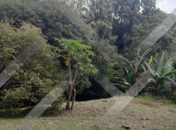 7d8498b4acb2303defdafdcc4538057821b4ec78 · CHACARA A VENDA PARQUE ALVORADA