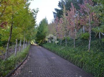 690852_i63m4F4d2sf833_69085267f9594b16ea6.jpg · Área/terreno com 9,42 hectares numa das regiões mais bonitas de Gramado