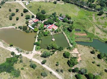 Rural de 5 quartos, Padre Bernardo · FAZENDA 32 ALQUEIRES - MUNICÍPIO DE PADRE GO