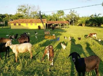 35iyvc02n2y1mda1yjq5mtyw_md · Hotel Fazenda, pousada rural, Bonito Mato Grosso 750 mil metros  7.milhões