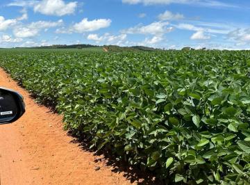 Rural de 20 quartos, Corumbá de Goiás · FAZENDA DUPLA APTIDÃO, PECUÁRIA E LAVOURA, CORUMBÁ DE GOIÁS 