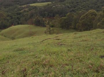 Rural , Joanópolis · Sitio de 7 Alqueires