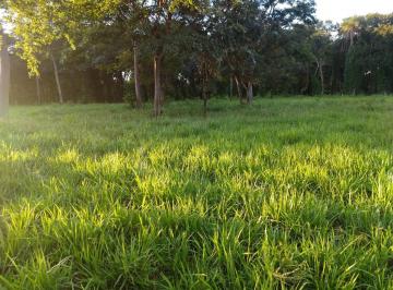 Rural , São João D'Aliança · ÓTIMA FAZENDA PARA PECUÁRIA EM SÃO JOÃO D'ALIANÇA