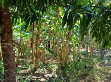 Rural , Colinas do Sul · Fazenda para pecuária bem localizada.