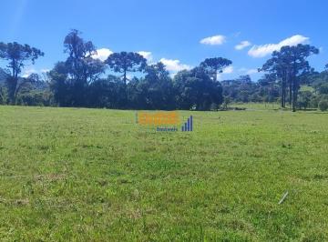 imuop02n2zhndeyzjrmytvl_md · Sitio plano com bosque e riacho Mato Frances, rancho queimado - SC 2 hectares