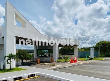 4e8eed9d-79fc-4345-af9b-5e4e1213418d.webp · Lote no Condomínio Santa Mônica – Tororó | 3.153,37 m² | Regularizado e Pronto para Construir