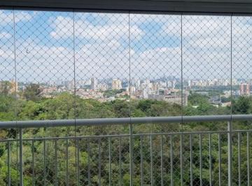 381045_iqPMkPTm8p_381045674f138c205c7.jpg · Imoveis - em Pirituba