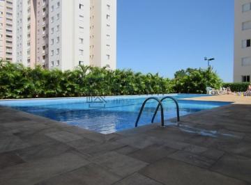 Foto 25 · Apartamento à venda em Campinas-SP, 3 quartos, 1 suíte, 2 salas, 2 banheiros, 1 vaga, 76m² - Loteame
