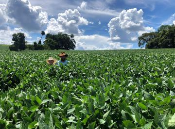 Rural , Caiapônia · Fazenda Dupla Aptidão com 11.942 há. no Município de Caiapônia - Goiás