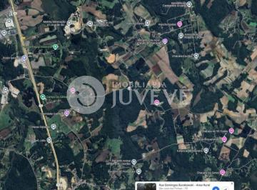 16885310200.jpg · IMOBILIÁRIA JUVEVE VENDE ÁREA 55.660,00M² RUA DOMINGOS BURAKOWSKI SÃO JOSÉ DOS PINHAIS COMPO LARGO D