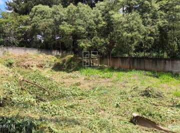 Terreno · 140m² · Terreno à venda - em Lamenha Grande
