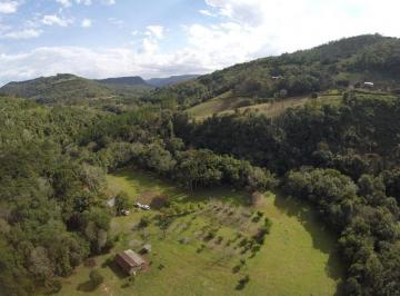 408422.jpg · Sitio - Bairro Linha Araripe