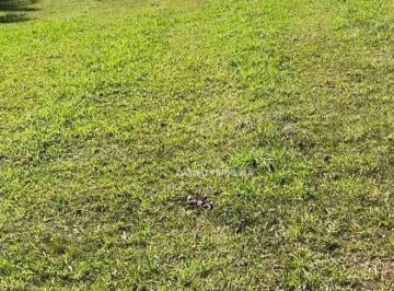 d4c23510b000dbefb56689d3f0caa4cf409ad52a · Terreno à venda, 1000 m² por R$ 370.000,00 - Condomínio Palmeiras Imperiais - Salto/SP