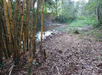 Foto 01 · SÍTIO 12 HECTARES C/ ÓTIMA NASCENTE PRÓPRIA À VENDA EM PIEDADE DOS GERAIS/MG