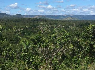 20220713174229805421.jpeg · Fazenda para Venda em Miracema do Tocantins