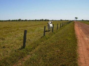 20220321225901471301.jpg · Fazenda para Venda em Cocalinho, 11 dormitórios, 5 suítes, 6 banheiros