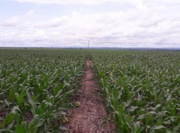 20220614164212769630.jpeg · Fazenda para Venda em Buriti Bravo, Buriti Bravo