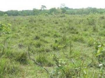 20220701114050714921.jpg · Fazenda para Venda em Lagoa do Tocantins, Lagoa do Tocantins