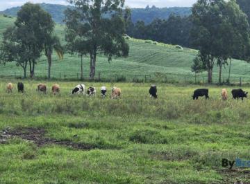 2023031513171656826.jpg · Fazenda para Venda em Ivaí