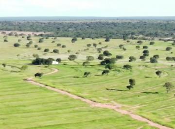 202305042334285874.jpg · Fazenda para Venda em Urucuia