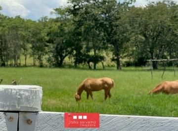 202410111557438753.jpg · Fazenda para Venda em Planaltina, 3 dormitórios, 1 suíte, 2 banheiros
