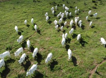 20230505003944806821.jpg · Fazenda para Venda em Chapada dos Guimarães